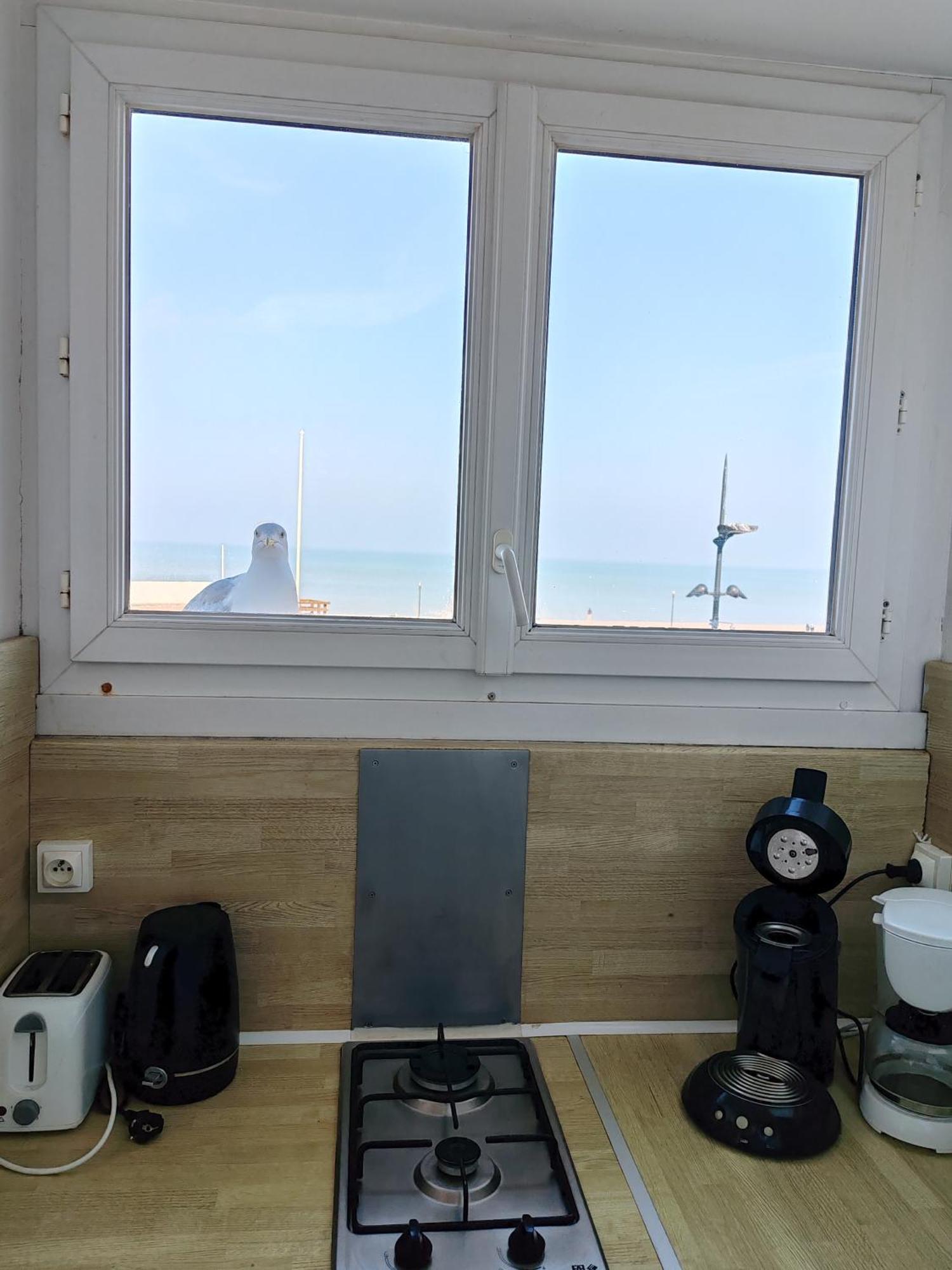 Goeland Apartment Le Treport Room photo